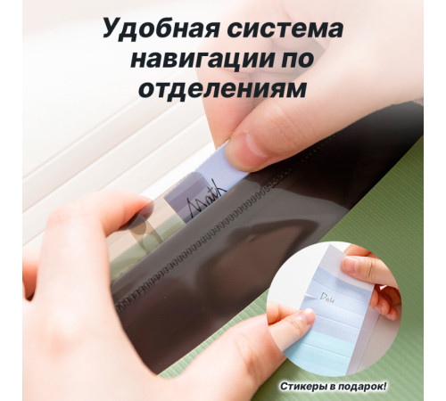 Папка-портфель DELI, А4, 13 отделений, 0,65 мм, ассорти