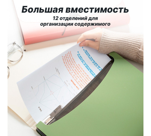 Папка-портфель DELI, А4, 13 отделений, 0,65 мм, ассорти