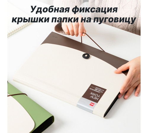 Папка-портфель DELI, А4, 13 отделений, 0,65 мм, ассорти