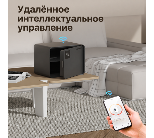 Сейф DELI LockSwort биометрический + электронный замок + ключ + Wi-Fi, 300х400х300 мм, 10 кг, черный