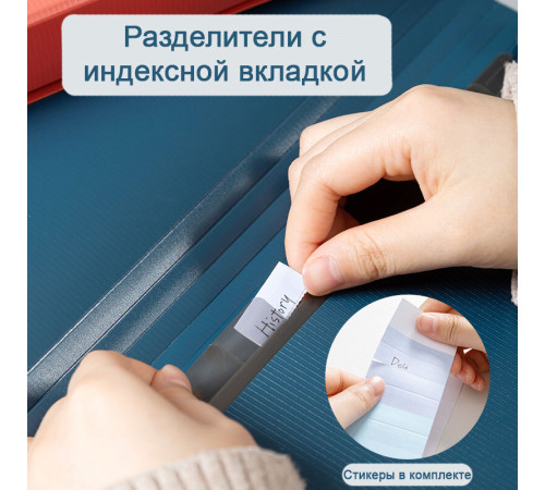 Папка-портфель DELI, на резинке 13 отделений, ассорти