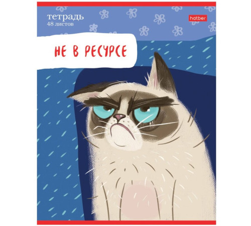 Тетрадь общая Hatber 