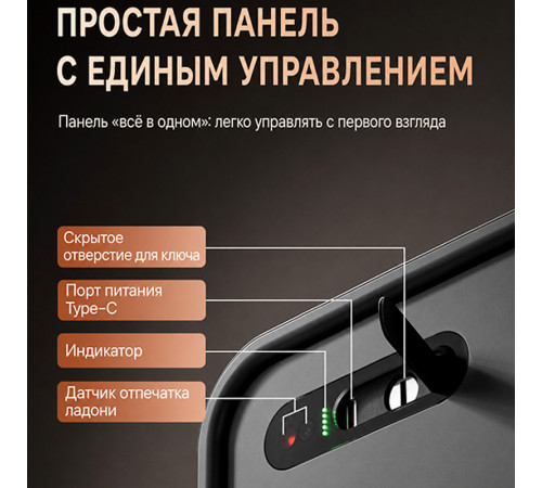 Сейф LockSworth сканер ладони + bluetooth + ключ, 300х400х300 мм, 10,2 кг, черный