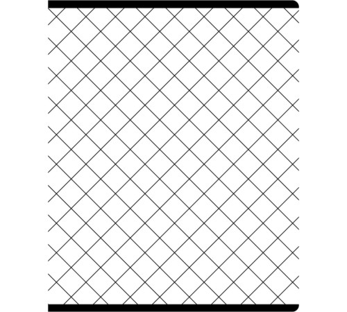 Тетрадь общая BG 