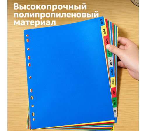 Разделитель пластиковый DELI, А4, 12 листов, Jan-Dec, цветной