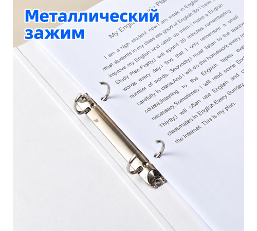 Папка на 2-х кольцах I Select, 