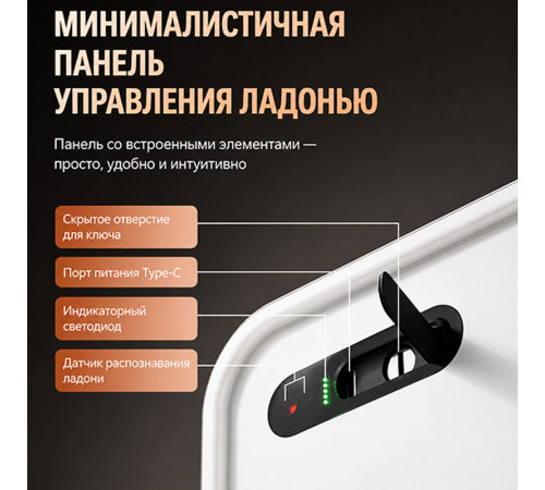 Сейф LockSworth сканер ладони + bluetooth + ключ, 250х350х250 мм, 6 кг, черный