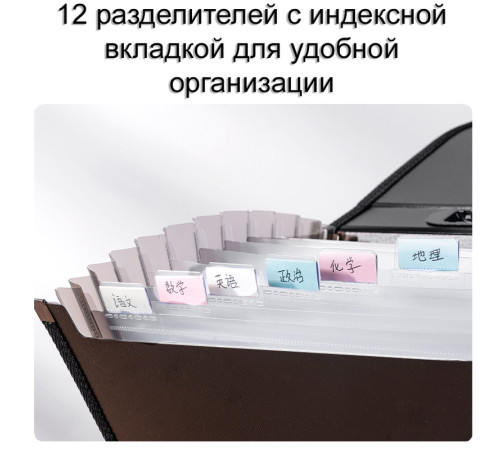Папка-портфель DELI, с ручкой 13 отделений, черный