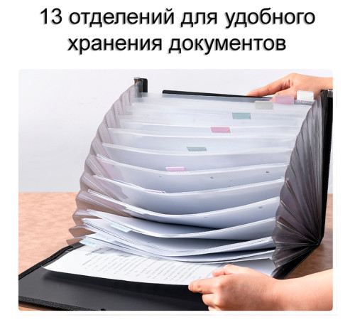 Папка-портфель DELI, с ручкой 13 отделений, черный