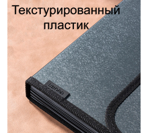 Папка-портфель DELI, с ручкой 13 отделений, черный