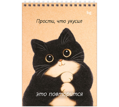 Блокнот BG "Настроение - кот" на спирали, А5, 60 листов в клетку