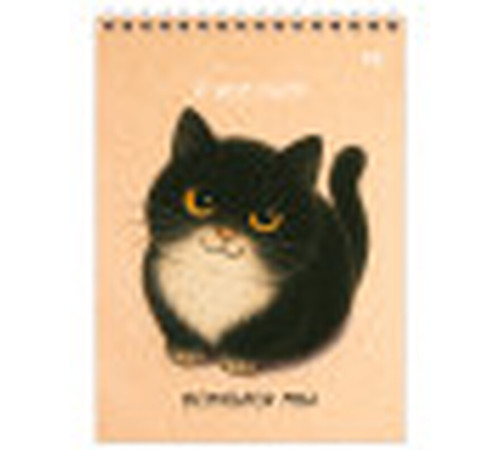 Блокнот BG "Настроение - кот" на спирали, А5, 60 листов в клетку