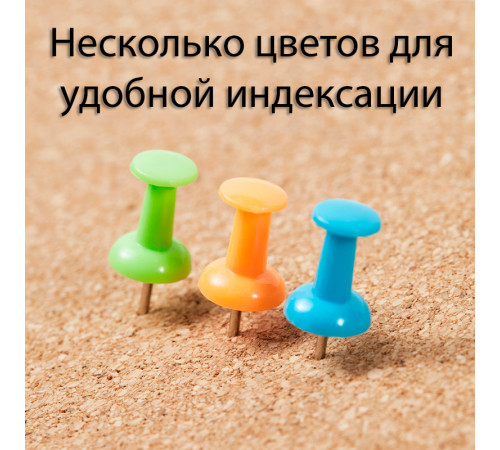 Гвоздики для доски DELI "i Select", цветные, 50 штук в коробочке