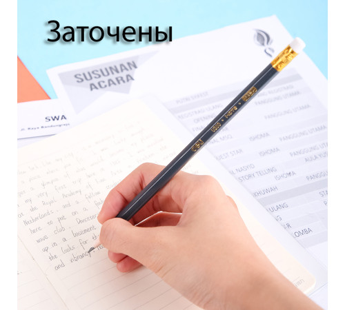 Карандаш DELI "Scribe", НВ, шестигранный корпус, дерево, с ластиком, темно-синий