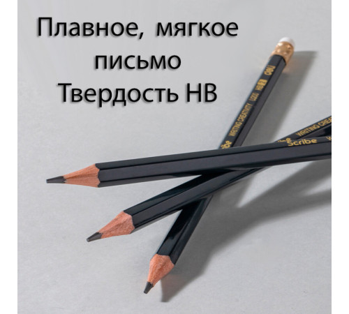 Карандаш DELI "Scribe", НВ, шестигранный корпус, дерево, с ластиком, темно-синий