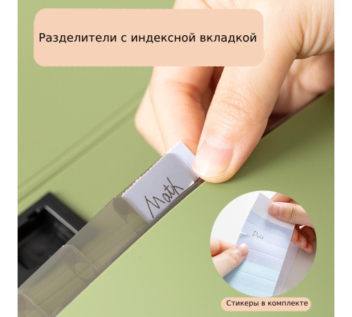 Папка-портфель DELI, А4, 13 отделений, 0,75 мм,  ассорти 