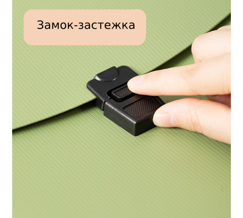 Папка-портфель DELI, А4, 13 отделений, 0,75 мм,  ассорти 