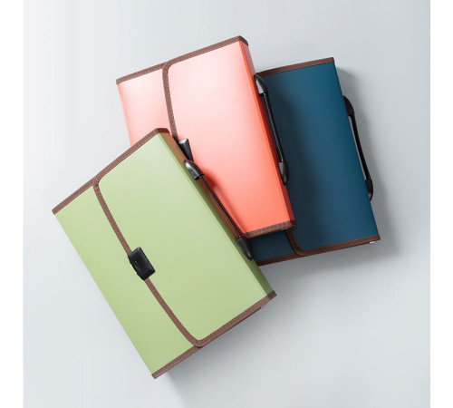 Папка-портфель DELI, А4+, с ручкой 13 отделений, ассорти