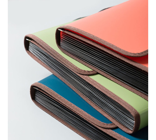 Папка-портфель DELI, А4+, с ручкой 13 отделений, ассорти