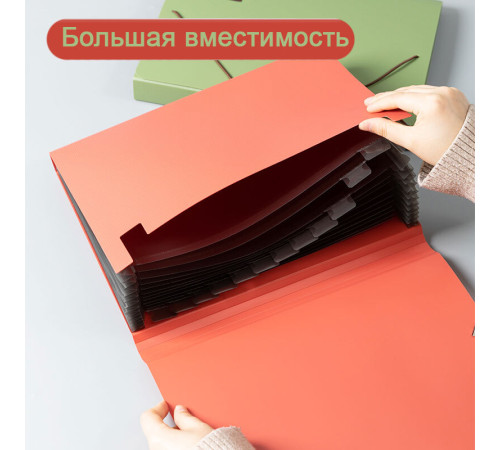Папка-портфель DELI, на резинке 13 отделений,  ассорти