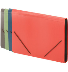Папка-портфель DELI, на резинке 13 отделений,  ассорти Папка-портфель DELI, на резинке 13 отделений,  ассорти