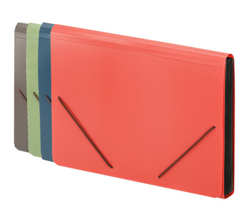 Папка-портфель DELI, на резинке 13 отделений,  ассорти