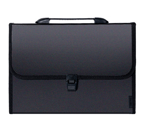 Папка-портфель DELI, с ручкой 13 отделений, черный Папка-портфель DELI, с ручкой 13 отделений, черный