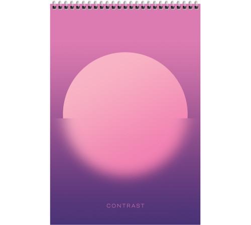 Блокнот BG "Mono circle" на спирали, А4, 80 листов, твердая подложка, в клетку