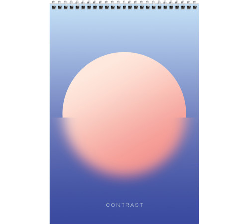 Блокнот BG "Mono circle" на спирали, А4, 80 листов, твердая подложка, в клетку