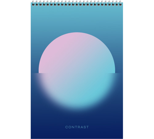 Блокнот BG "Mono circle" на спирали, А4, 80 листов, твердая подложка, в клетку