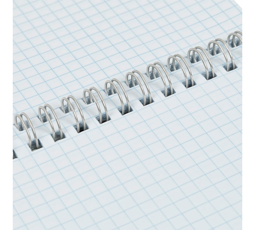 Блокнот BG "Настроение - кот" на спирали, А5, 60 листов в клетку