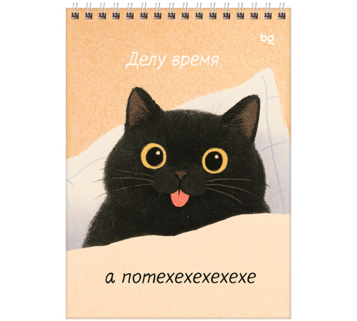 Блокнот BG "Настроение - кот" на спирали, А5, 60 листов в клетку