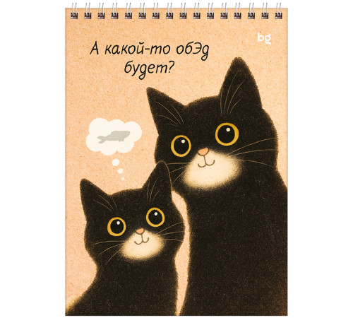 Блокнот BG "Настроение - кот" на спирали, А5, 60 листов в клетку