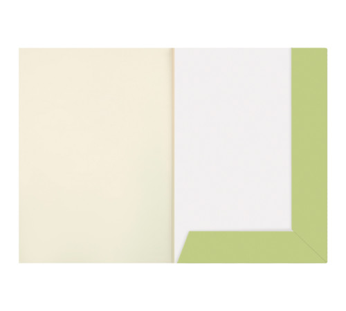 Бумага для акварели BG "Полевые цветы", А4, 200 г/м2, 10 листов