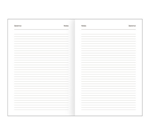 Ежедневник BG "БУМВИНИЛ" А5, недатированный, 160 листов, черный