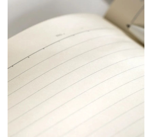 Ежедневник недатированный Deli А5, 192 страниц, мягкая обложка, серый