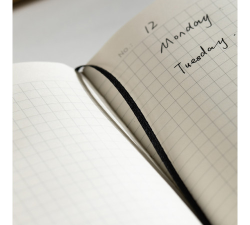 Ежедневник недатированный Deli А5, 240 страниц, 80 г/кв.м., в клетку, черный