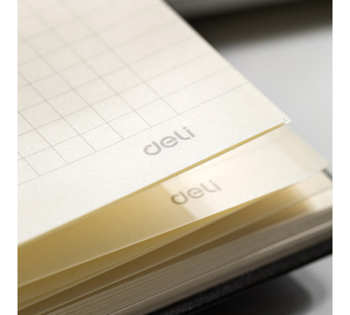 Ежедневник недатированный Deli А5, 240 страниц, 80 г/кв.м., в клетку, черный