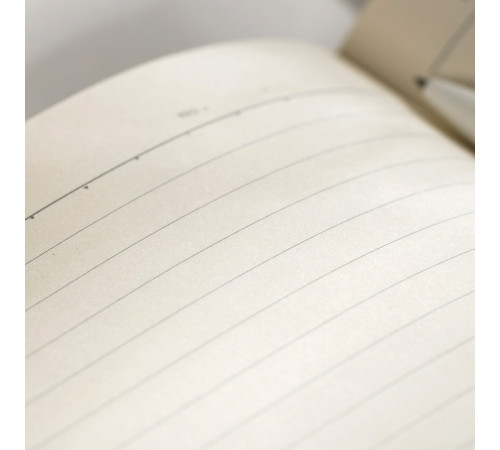 Ежедневник недатированный Deli А5, 96 страниц, 80 г/кв.м., серый 