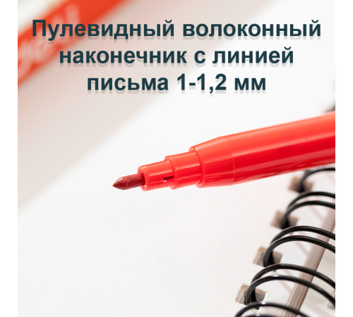 Фломастеры Deli "ColoRun", 24 цвета, картон