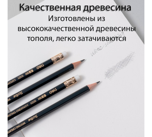 Карандаш DELI "Scribe", НВ, шестигранный корпус, дерево, с ластиком, темно-синий