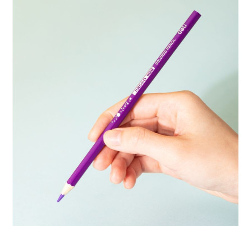 Карандаши цветные Deli "Bingoo", 12 цвета, картон