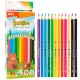 Карандаши цветные Deli "Bingoo", 12 цвета, картон