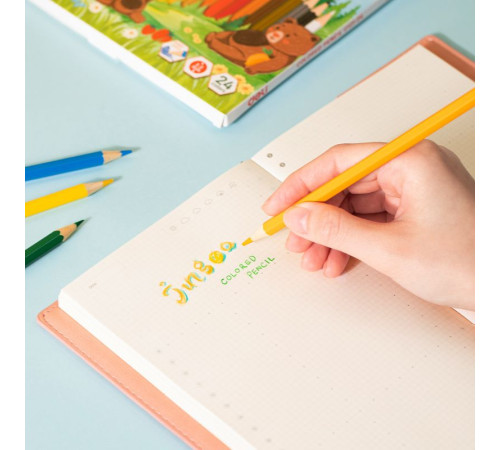 Карандаши цветные Deli "Bingoo", 24 цвета, картон