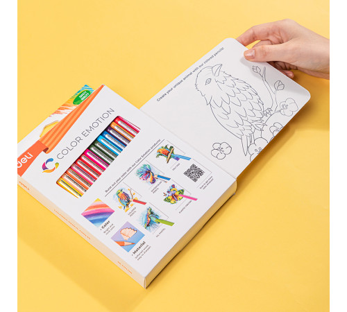 Карандаши цветные Deli "Color Emotion", 36 цветов, картон