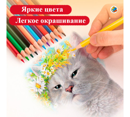 Карандаши цветные Deli "ColoRun", 18 цветов, картон