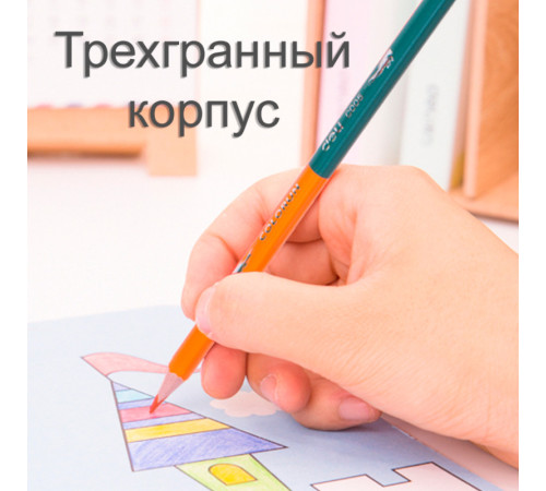 Карандаши цветные Deli  "ColoRun", двухсторонние, 12 штук, 24 цвета, картон