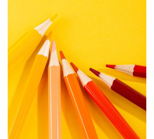 Карандаши цветные Deli  "Larva", 24 цвета, картон