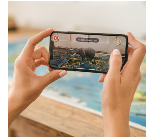 Карта Мира "Животный и растительный мир Земли" Globen, 1010х690 мм, интерактивная, с ламинацией