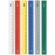 Линейка СТАММ 30 см, непрозрачная, 6 цветов ассорти